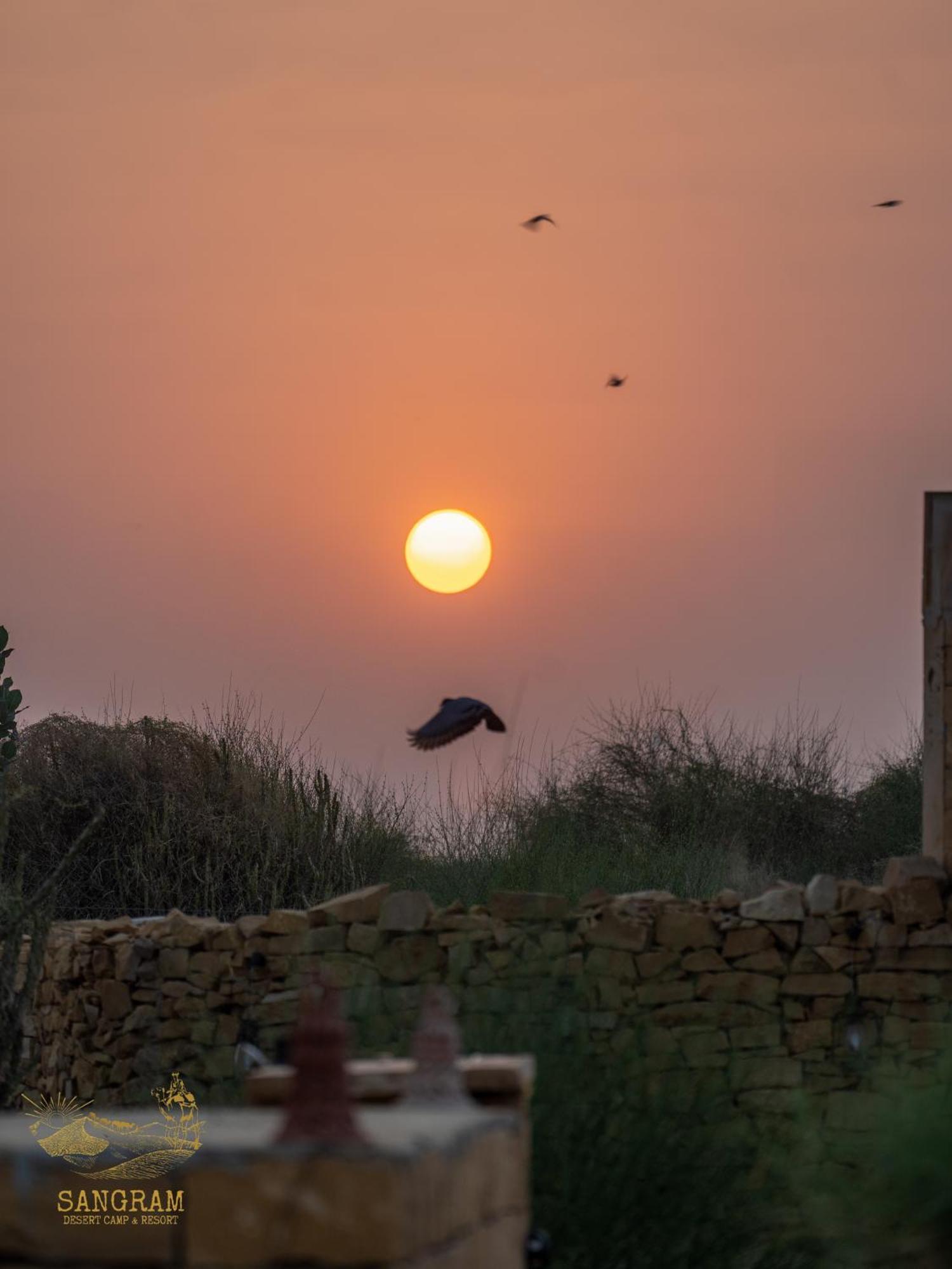 Sangram Desert Camp Jaisalmer Ngoại thất bức ảnh